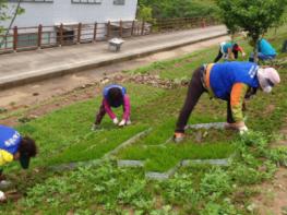 바르게살기운동 남양주시협의회 별내면위원회, 에코랜드 잡초 제거 활동 실시 기사 이미지