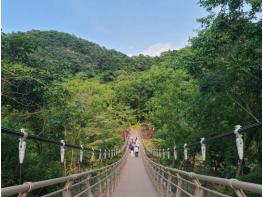 연천군, 한탄강 세계지질공원 관광 활성화 시동 기사 이미지