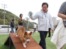 남양주시, 진접읍 반려견 놀이터 개장…반려문화 거점 조성 기사 이미지