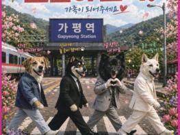 가평군, 9일 가평역서 '반려동물 입양 팝업센터' 열어 기사 이미지