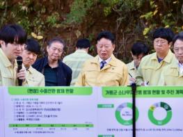 서태원 가평군수, 산림청장과 소나무재선충병 방제사업 현장서 긴급 점검 기사 이미지