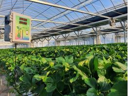 농업의 4차산업을 준비하는 포천시 농업기술센터..스마트농업 대중화 실현 기사 이미지